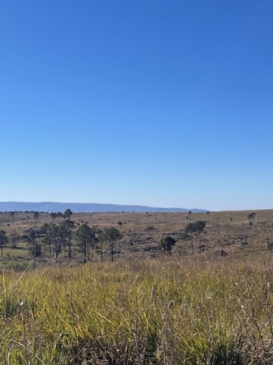 OPORTUNIDAD!!!Lote de 2,5 Ha en Yacanto!!!